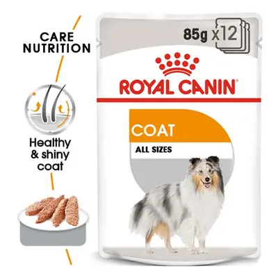 ROYAL CANIN COAT CARE kapsička pro lesklou srst 12× 85 g