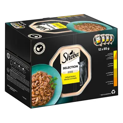 Sheba Multipack Selection drůbeží variace v omáčce, 12 × 85 g