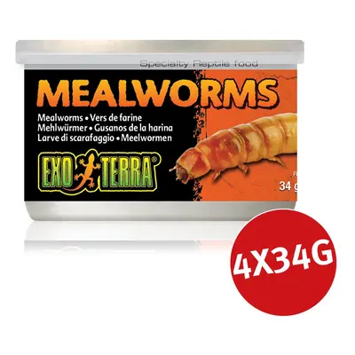 Exo Terra mouční červi 4 × 34 g