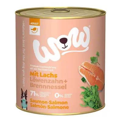 WOW Adult losos 6 × 800 g