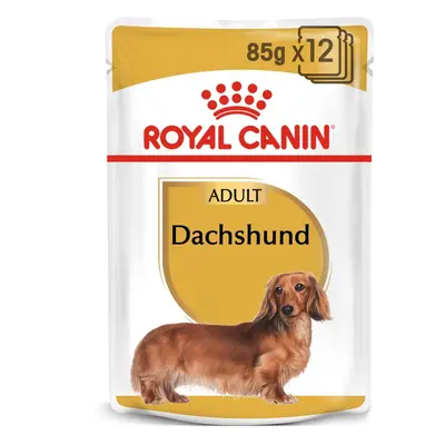 ROYAL CANIN Dachshund Adult kapsička pro jezevčíka 12× 85 g