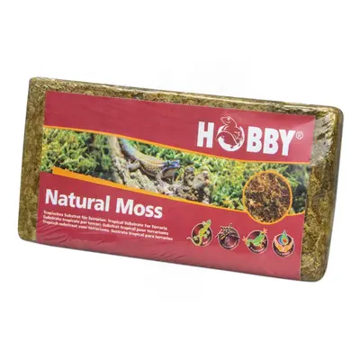 Hobby mech Natural Moss 100 g