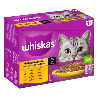 Whiskas multipack 1+ výběr drůbežího masa v omáčce, 12 × 85 g