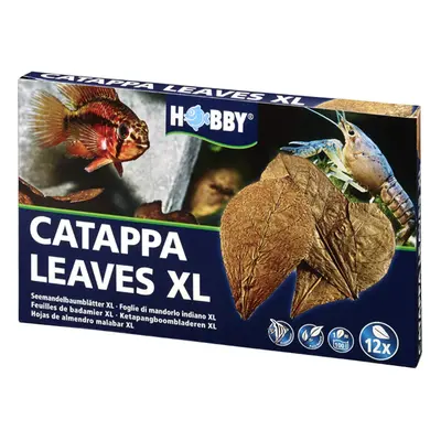 Hobby Catappa Leaves listy velikosti XL, 12 kusů