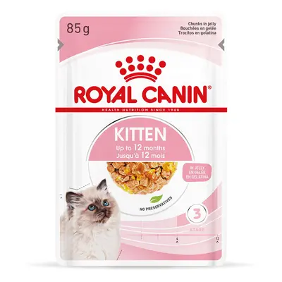 ROYAL CANIN KITTEN v želé pro koťata 48x85g