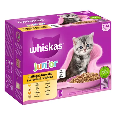 Whiskas Junior kombinované balení, výběr drůbežího masa v želé, 12 × 85 g