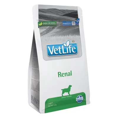 Farmina Vet Life Dog Renal 2 kg