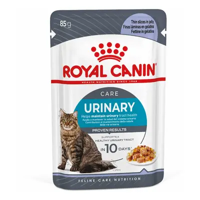 Royal Canin FCN Urinary Care želé 12 × 85 g