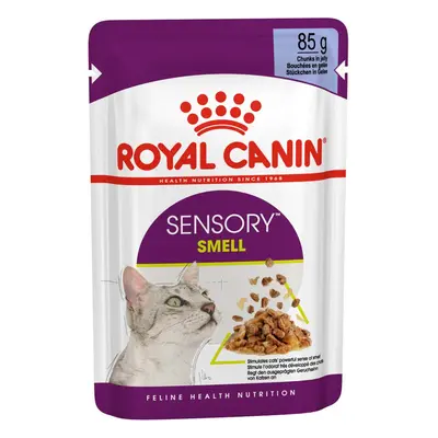 Royal Canin Sensory Smell želé 12 × 85 g