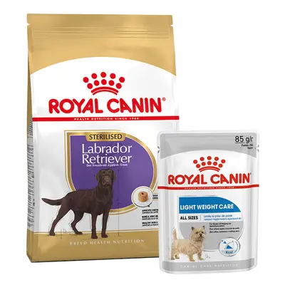 ROYAL CANIN Labrador Retriever Sterilised 12 kg + LIGHT WEIGHT CARE Mousse 12× 85 g