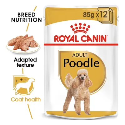 ROYAL CANIN Poodle Adult v omáčce kapsička pro pudly 12× 85 g