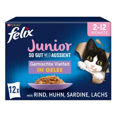 FELIX So gut wie es aussieht v želé Junior různé druhy 12× 85 g