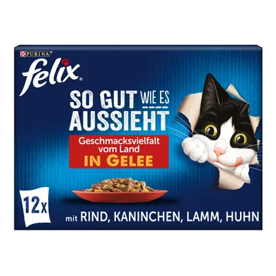 FELIX So gut wie es aussieht v želé rozmanitost chutí země 12× 85 g