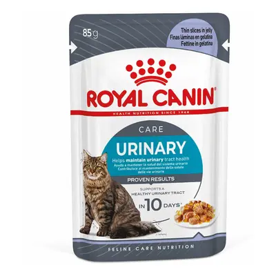 Royal Canin FCN Urinary Care želé 48 × 85 g