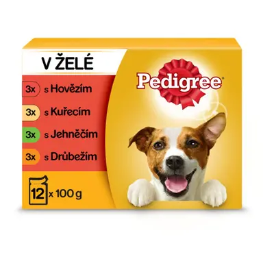 Pedigree kapsičky masový výběr v želé 48 x 100 g