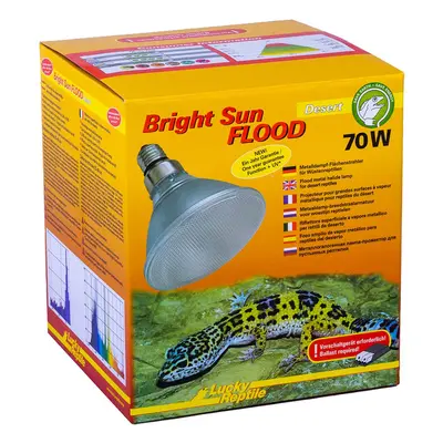 Lucky Reptile Bright Sun FLOOD Desert 70 W