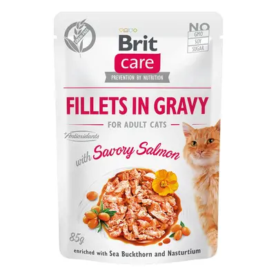 Brit Care Cat filety v omáčce s lososem 24 × 85 g