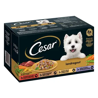 CESAR Landragout 4 příchutě 64 × 150 g