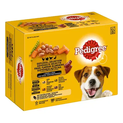 PEDIGREE Pouch Adult výběr drůbežího masa v kombinovaném balení 24 × 100 g