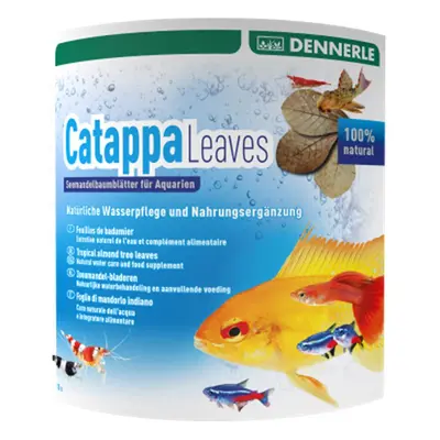 DENNERLE AquaRico Catappa Leaves, 10 ks listů mandlovníku mořského