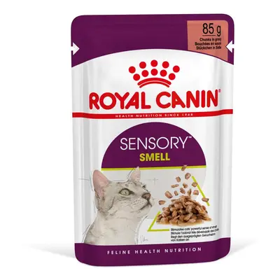 Royal Canin Sensory Smell Gravy 48 × 85 g