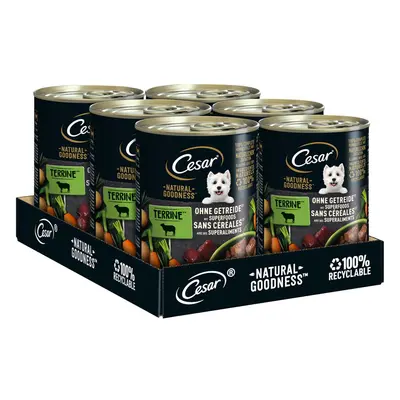 CESAR NATURAL GOODNESS jehněčí 12× 400 g