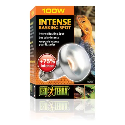 Exo Terra Intense Basking Spot 4+1 zdarma 100 W