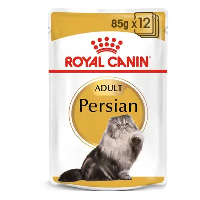 ROYAL CANIN Persian Adult, mokré krmivo pro perské kočky 12 × 85 g