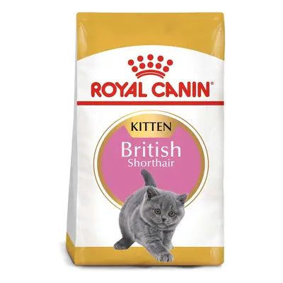 ROYAL CANIN British Shorthair suché krmivo pro koťata 10 kg