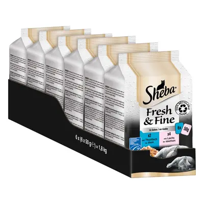 Sheba Fresh & Fine tuňák a losos v želé 6× 50 g