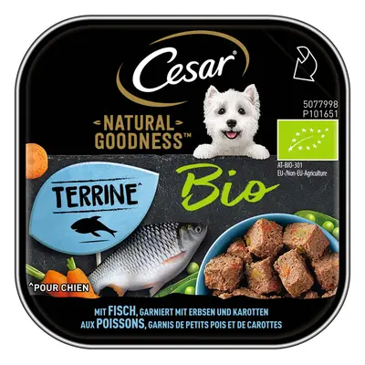 Cesar Natural Goodness Bio ryba s hráškem a mrkví 16 × 100 g