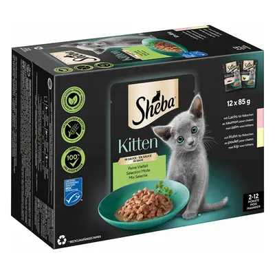 Sheba Multipack Kitten v omáčce Feine Vielfalt, 12 × 85 g