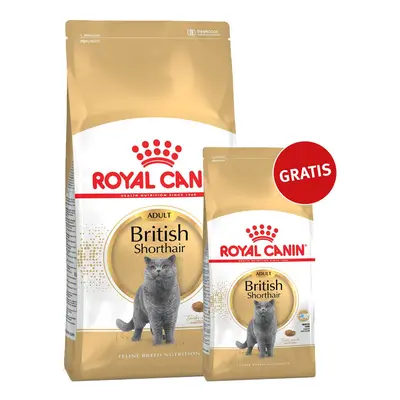 Royal Canin krmivo pro britské krátkosrsté kočky, 10 kg + 2 kg zdarma