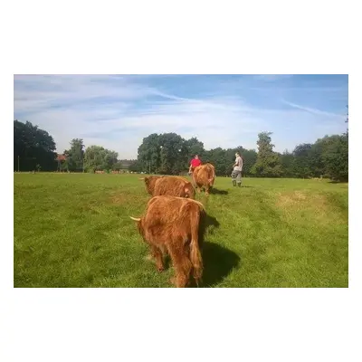 Farmářem na zkoušku - dvoudenní pobyt na statku + péče o zvířata