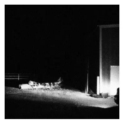 "Last Building Burning" ("Cloud Nothings") (CD / Album)