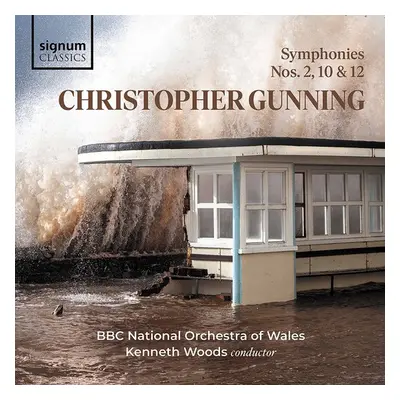 "Christopher Gunning: Symphonies Nos. 2, 10 & 12" ("") (CD / Album)