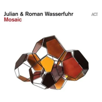 "Mosaic" ("Julian Wasserfuhr & Roman Wasserfuhr") (Vinyl / 12" Album)