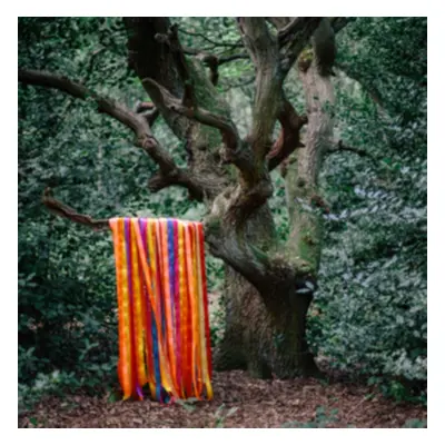 "The Animal Spirits" ("James Holden & The Animal Spirits") (CD / Album)