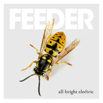 "All Bright Electric" ("Feeder") (Vinyl / 12" Album)