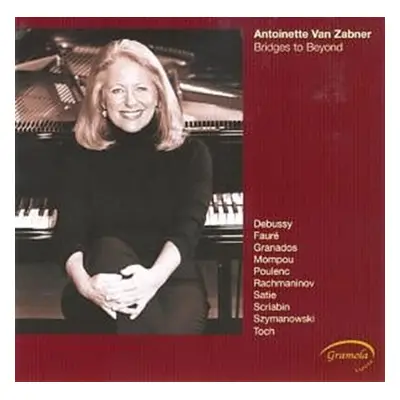 "Bridges to Beyond (Van Zabner)" ("") (CD / Album)