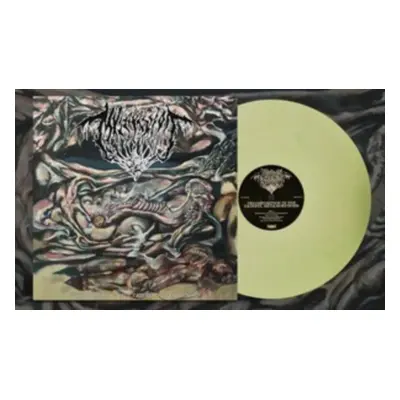 "Decomposition in the Painful Metamorphosis" ("Mvltifission") (Vinyl / 12" Album Coloured Vinyl)