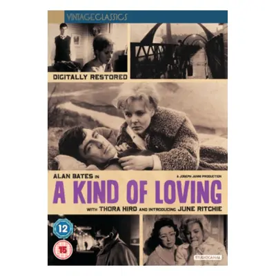 "Kind of Loving" ("John Schlesinger") (DVD)