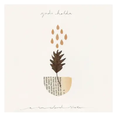 "A Sun Coloured Shaker" ("Yndi Halda") (Vinyl / 12" Single)