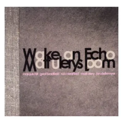 "Wake an Echo" ("Matt Ulery") (CD / Album)