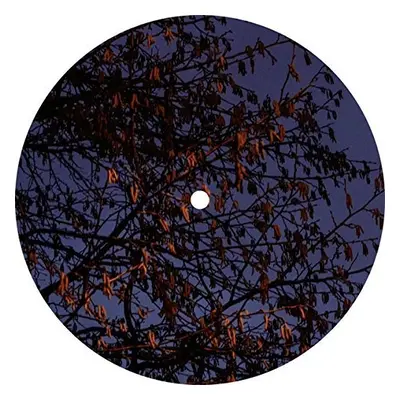 "Quest #14" ("Mikkel Metal") (Vinyl / 12" EP)