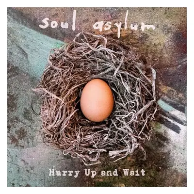 "Hurry Up and Wait" ("Soul Asylum") (Vinyl / 12" Album)