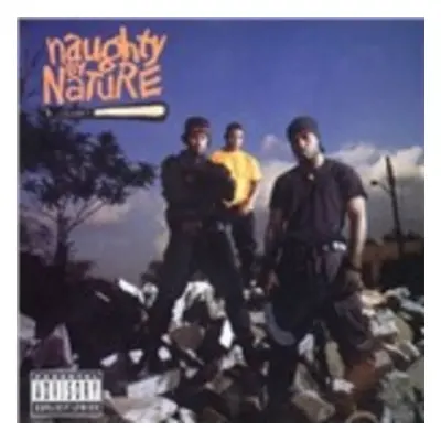 "Naughty By Nature" ("Naughty By Nature") (Vinyl / 12" Album)