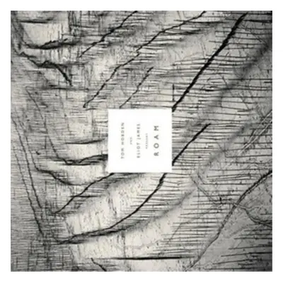 "Tom Hobden & Eliot James Present: Roam" ("") (Vinyl / 12" Album)