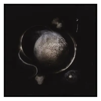 "Cold Black Suns" ("Enthroned") (Vinyl / 12" Album Coloured Vinyl)