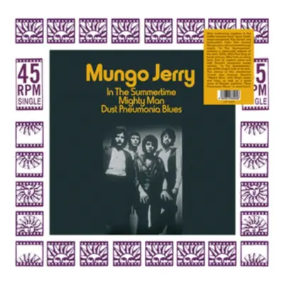 "In the summertime" ("Mungo Jerry") (Vinyl / 12" Single)